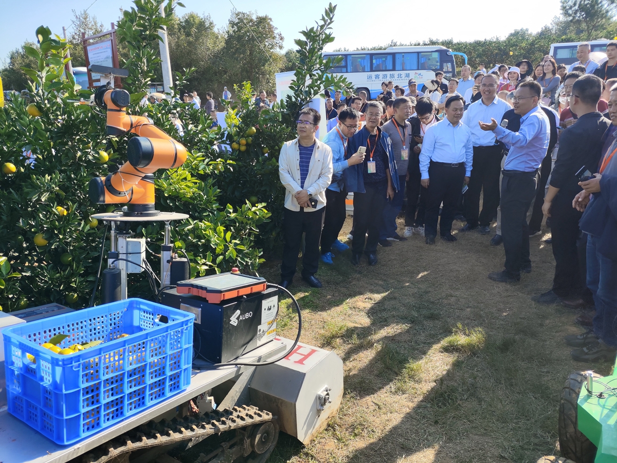 国家柑橘产业技术体系、我校太阳成tyc9728集团教授李善军现场讲解展示柑橘采摘机器人（供图人 通讯员 鲍秀兰）